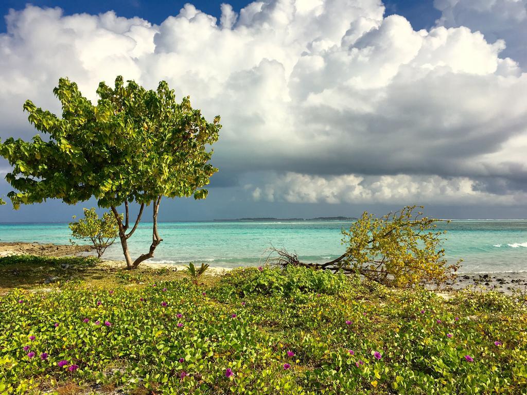 Faza View Inn, Maafushi Εξωτερικό φωτογραφία